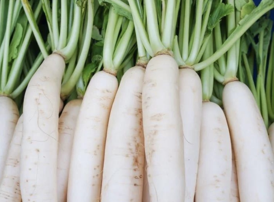 Bombay Daikon